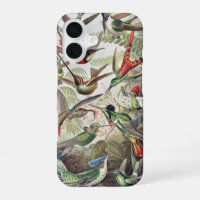 Vintage Ernst Haeckel Colourful Hummingbird Poster