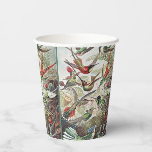 Vintage Ernst Haeckel Colourful Hummingbird Poster Paper Cups