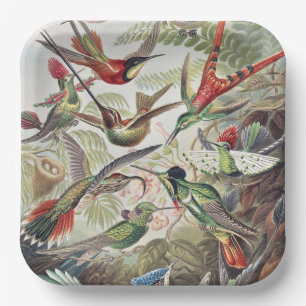 Vintage Ernst Haeckel Colourful Hummingbird Poster Paper Plate