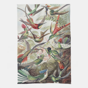 Vintage Ernst Haeckel Colourful Hummingbird Poster Tea Towel