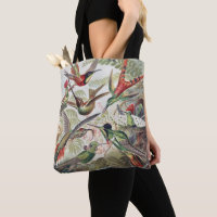 Vintage Ernst Haeckel Colourful Hummingbird Poster