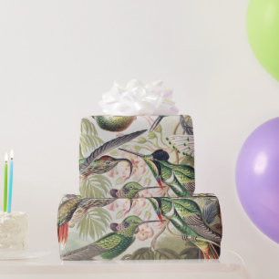 Vintage Ernst Haeckel Colourful Hummingbird Poster Wrapping Paper
