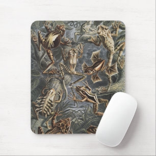 Vintage Ernst Haeckel Frog Scientific Illustration Mouse Pad