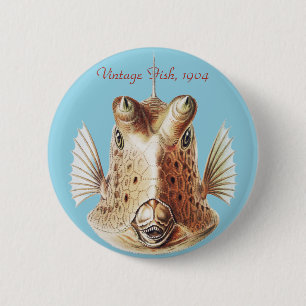 Vintage Ernst Haeckel Nautical Gold Cowfish Art 6 Cm Round Badge