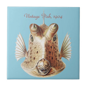 Vintage Ernst Haeckel Nautical Gold Cowfish Art Ceramic Tile