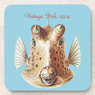 Vintage Ernst Haeckel Nautical Gold Cowfish Art Coaster
