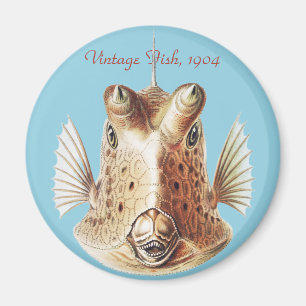 Vintage Ernst Haeckel Nautical Gold Cowfish Art Magnet