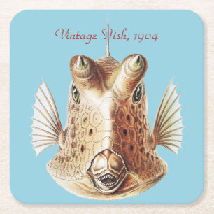 Vintage Ernst Haeckel Nautical Gold Cowfish Art Square Paper Coaster