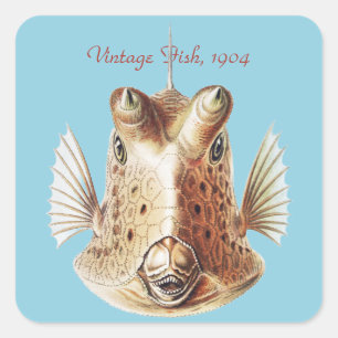 Vintage Ernst Haeckel Nautical Gold Cowfish Art Square Sticker