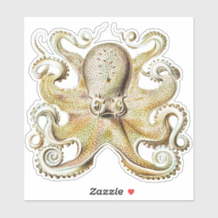 Vintage Ernst Haeckel Octopus Nautical Sea Life