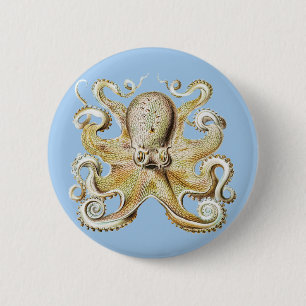 Vintage Ernst Haeckel Octopus Nautical Sea Life 6 Cm Round Badge