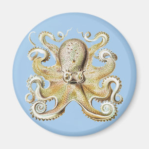 Vintage Ernst Haeckel Octopus Nautical Sea Life Magnet
