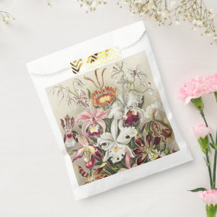 Vintage Ernst Haeckel Orchid Botanical Print Favour Bag