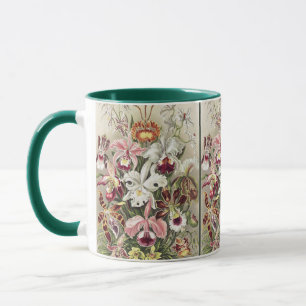 Vintage Ernst Haeckel Orchid Botanical Print Mug