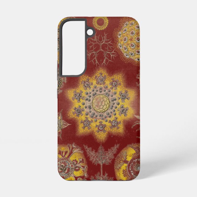 Vintage Ernst Haeckel Samsung Galaxy S22 Case (Back)