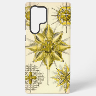 Vintage Ernst Haeckel Samsung Galaxy Case