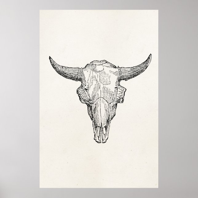 Vintage European Bison Skull Antique Template Poster (Front)