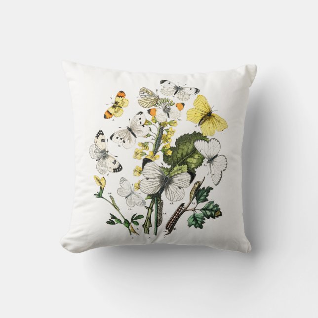 Vintage European Butterflies Cushion (Front)
