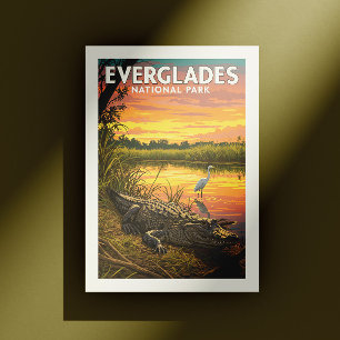 Vintage Everglades National Park Postcard