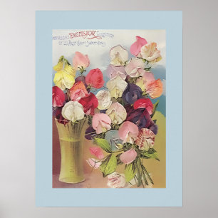 Vintage Excelsior Collection of Assorted Sweetpeas Poster