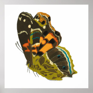 Vintage exotic butterfly 5 poster