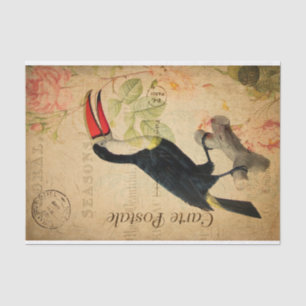 Vintage Exotic Tropical Toucan Bird Floral French Tissue Paper