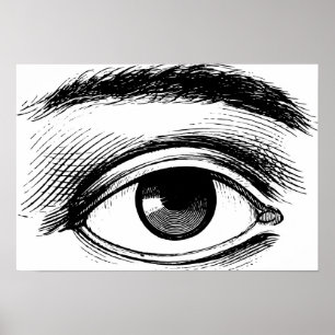 Vintage Eye Illustration Poster