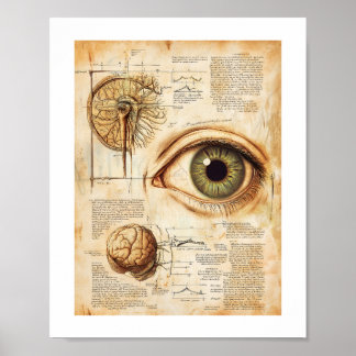 Vintage Eye Print, Value Poster Paper (Matte)