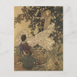 Vintage Faerie Postcard