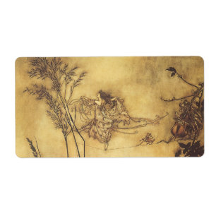 Vintage Fairy Tale, Fairy's Tightrope by Rackham