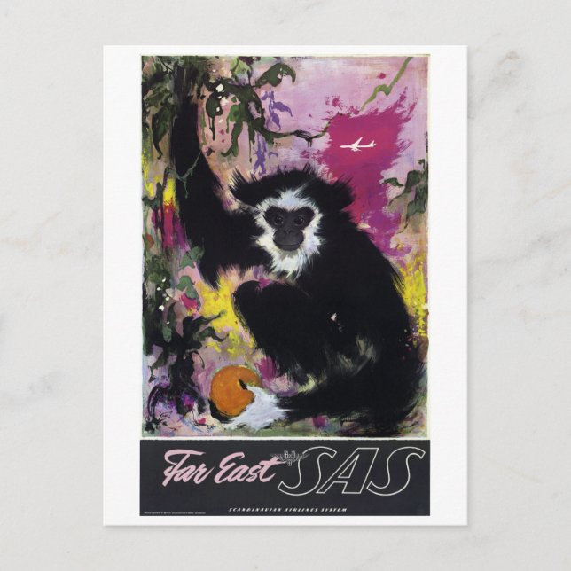 Vintage Far East Gibbon Monkey Travel Postcard (Front)