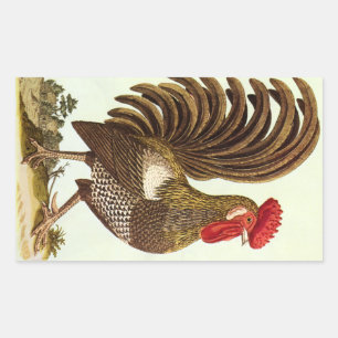 Vintage Farm Animals Chickens, Proud Rooster Rectangular Sticker