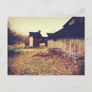 Vintage Farm Barns Postcard