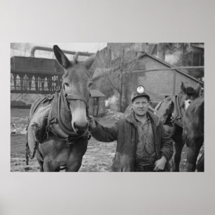 Vintage Farm Security Administration Print