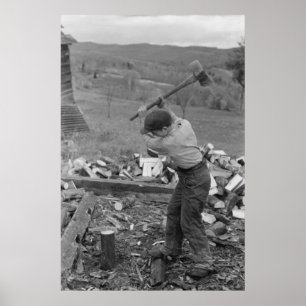 Vintage Farm Security Administration Print
