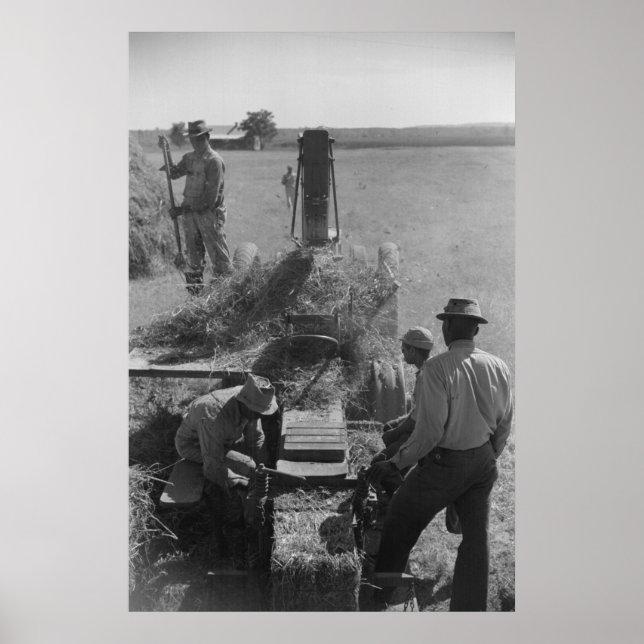 Vintage Farm Security Administration Print (Front)