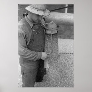 Vintage Farm Security Administration Print
