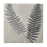 Vintage Ferns Ceramic Tile<br><div class="desc">Vintage Fern Study III by Vision Studio. Features two vintage-looking ferns against an antique background.</div>