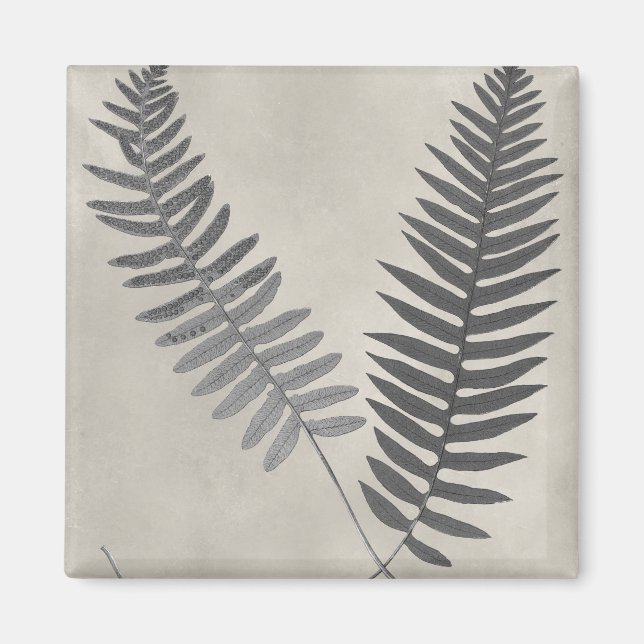 Vintage Ferns Magnet (Front)