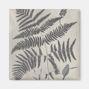 Vintage Ferns Magnet