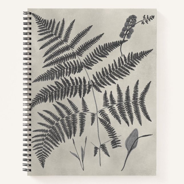 Vintage Ferns Notebook (Front)