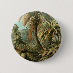 Vintage Ferns Palm Tree Botanical Drawing 6 Cm Round Badge