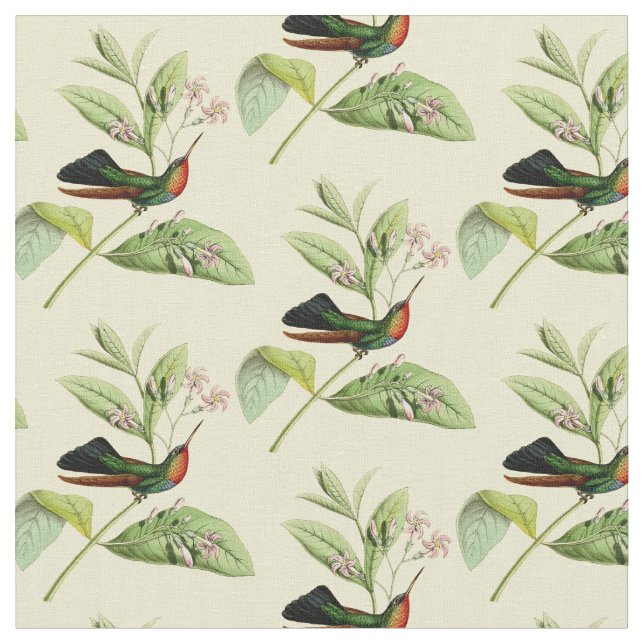 Vintage Fiery Throated Hummingbird Fabric (Close Up)