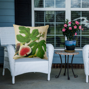 vintage figs cushion