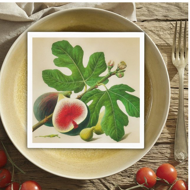 Vintage figs  napkin (Creator Uploaded)