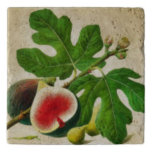 Vintage figs