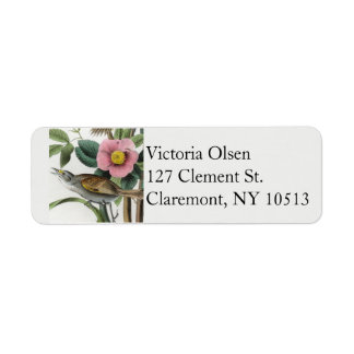 Vintage finch bird return address labels