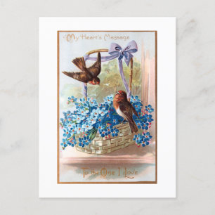 Vintage Finches with Blue Valentine Forget Me Nots Postcard