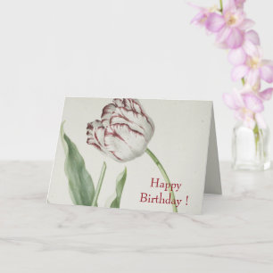 Vintage Fine Art, White and Red Tulip Birthday  Card