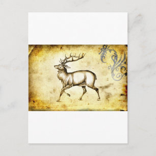 Vintage fineart F076 deer Postcard